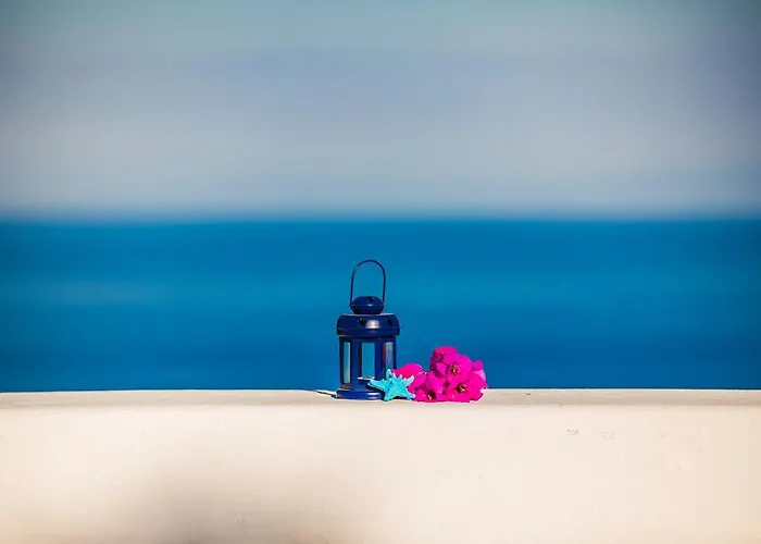 Portynord كانّيتو